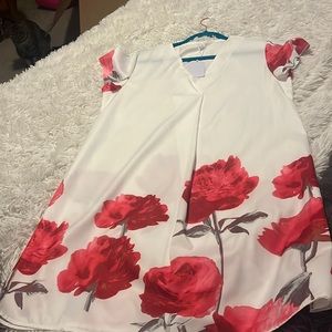 Cute shift dress-sheer